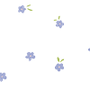Design Option Flower Power