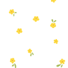 swatch img